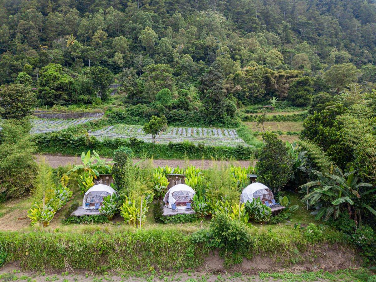 Hotel Cloud Hills Glamping Kintamani Exteriér fotografie